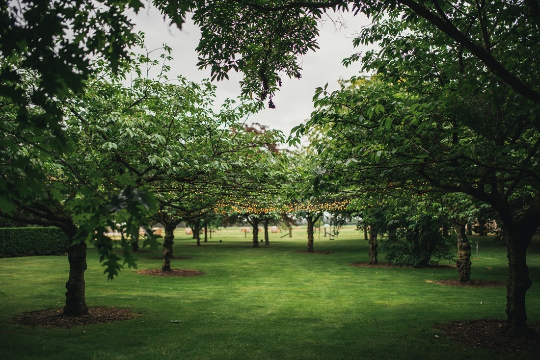 Nicola & Ben, Ngatarawa Wedding, Hawke's Bay