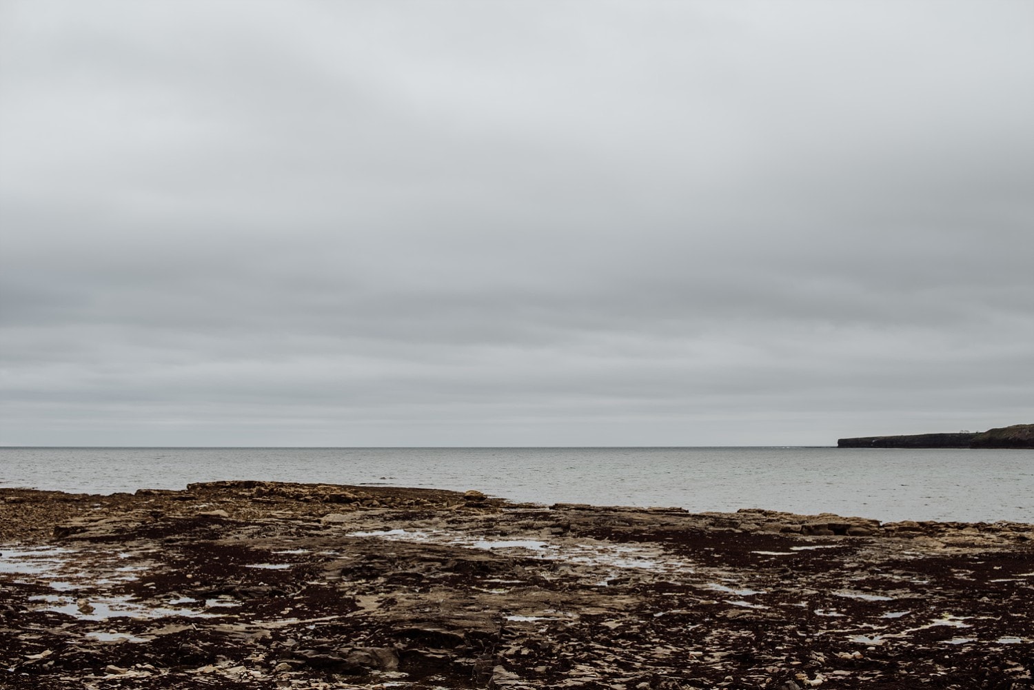 Teresa & Joe - Ireland Engagement Session | www.meredithlord.com